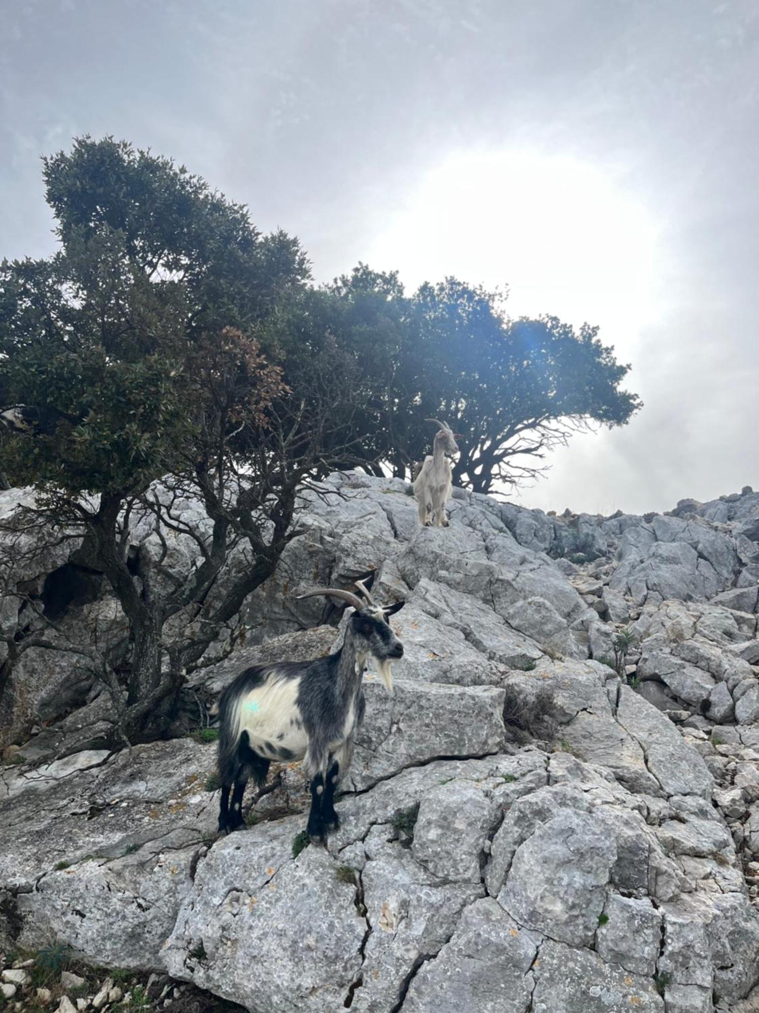 Petit Paradis A Sanary Avec Vue Mer Wifi Et Clim Zewnętrze zdjęcie